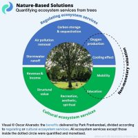 Credit: Nature Based Solutions Platform, Quantifying Ecosystem Services from Trees